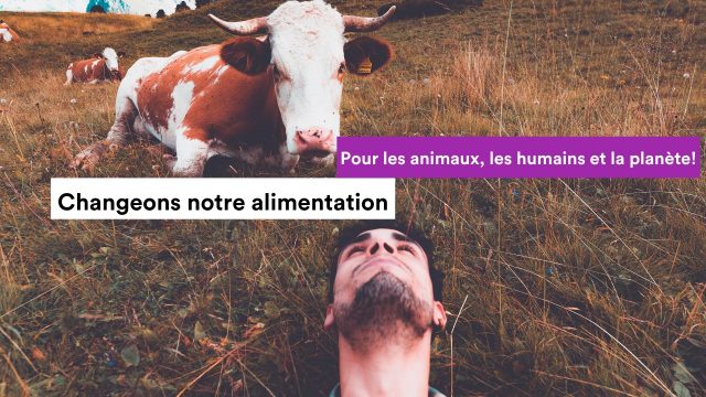 covid-alimentation covid-alimentation
