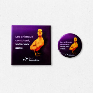 Badge ou magnet caneton
