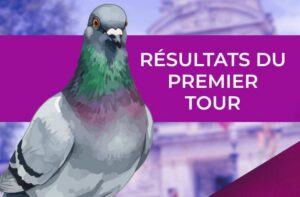 résultats premier tour municipales parti animaliste