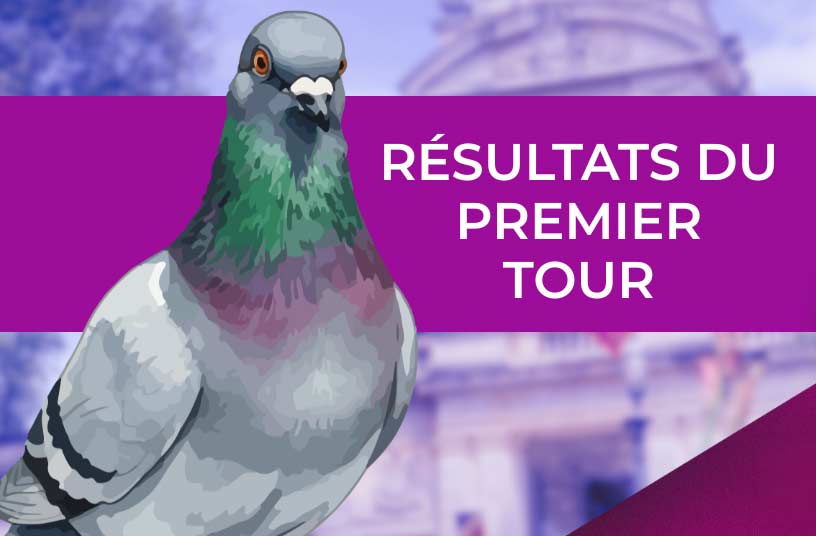 résultats premier tour municipales parti animaliste